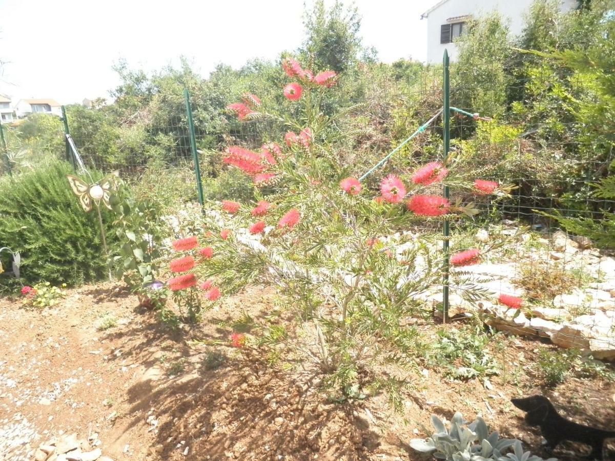 Apartment Leon Ζαντάρ Εξωτερικό φωτογραφία